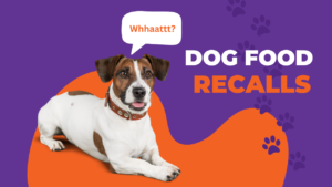 UK, EU Dog Food Recall Information & Warnings - DogsForum