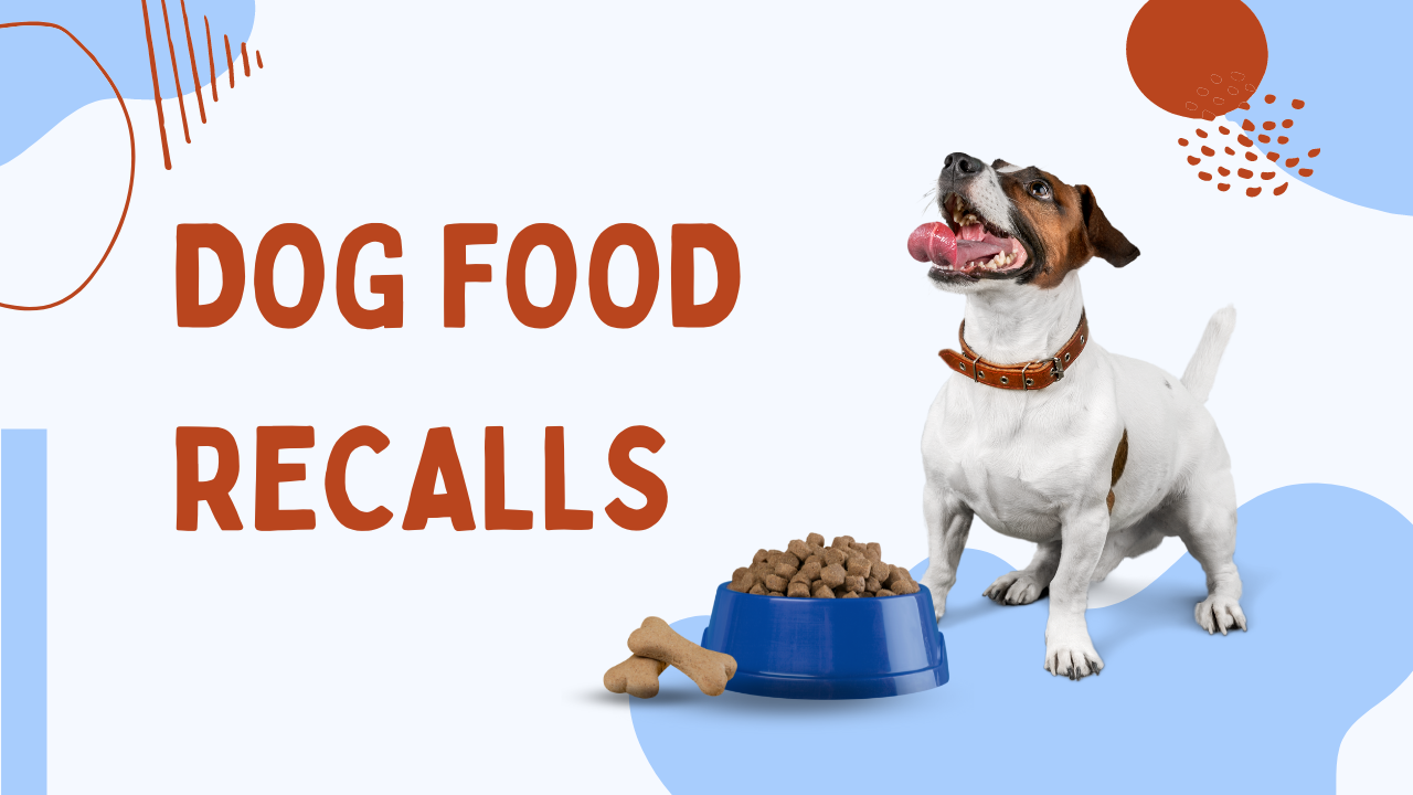 Natural Instinct Dog Foods Containing Duck UK Recall - DogsForum