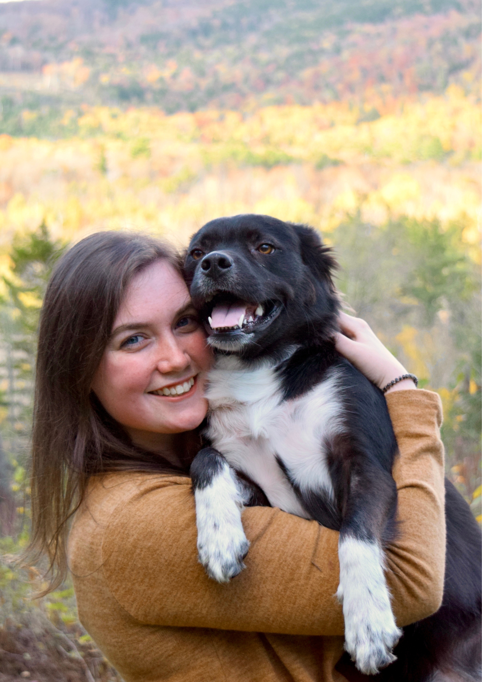 petsmart-grooming-prices-2025-full-cost-breakdown-dogsforum